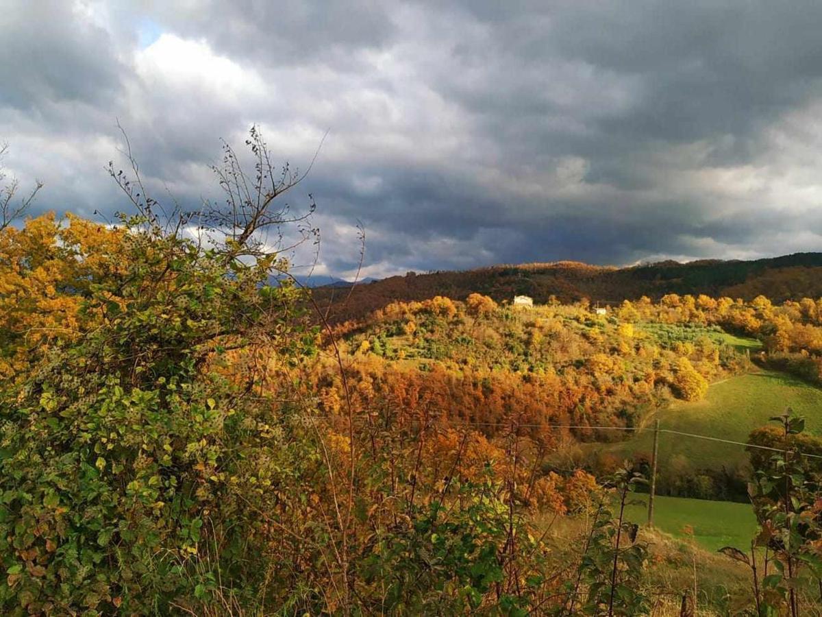 Agriturismo Montesalce غوبيو المظهر الخارجي الصورة