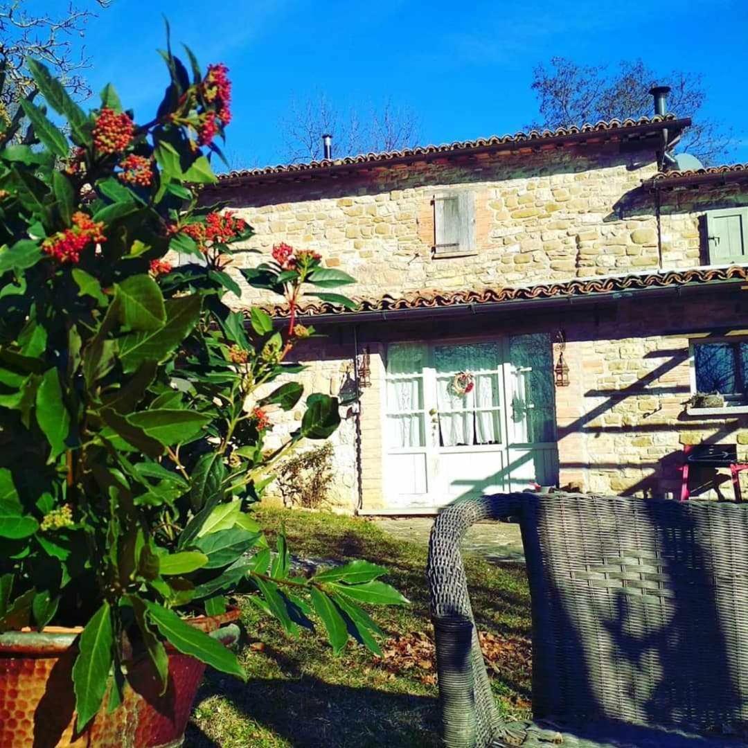Agriturismo Montesalce غوبيو المظهر الخارجي الصورة